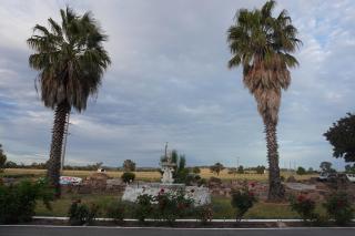 Wagga Gardens Motel - 6