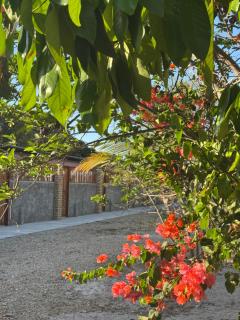 Hotel Fazenda Alta Vista - 0