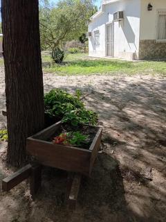 Hospedaje villa silipica - 0