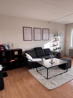 Lekker leilighet i Thisted - 1