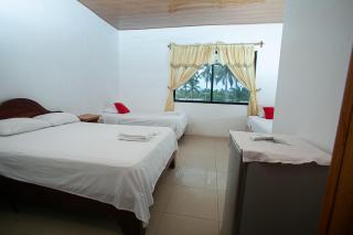 Hostal casa de los delfines - 6