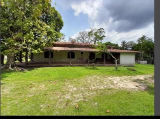 Baia do sol na cop30 - 3