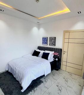 2bedroom Luxury Smart Home in Lekki 1 - 2