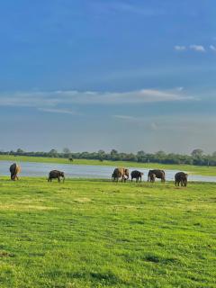 Sheran Safari House - 6