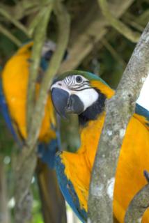 Flat rústico e aconchegante próximo a Paraty e Trindade - 5