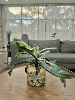 Comfort Homey Studio with Fresh Mountain Air by Cherisia's Hideaway - 2