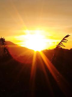 The Palace Eco Cottage - 8