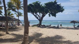 Saint-François - Studio avec piscine et plage-Detente au Balisier - 9