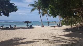 Saint-François - Studio avec piscine et plage-Detente au Balisier - 2