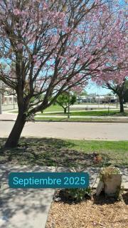 Casa en Pueblo Esther - 3