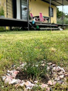 Brisas de la viuda - 7