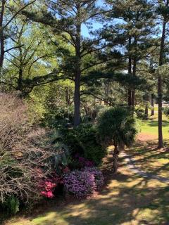 Myrtle Beach Retreat - Golf and Pools On-site - 4