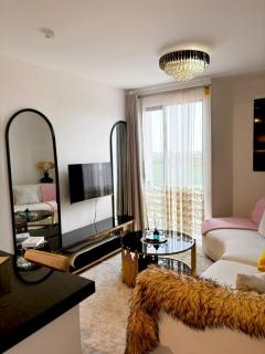 Snyder luxe homes 1 - 3