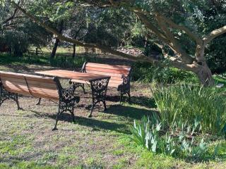 Kooringa Cottage - 6