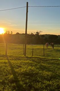 SítioBoaVistadoMonteAlto - 5