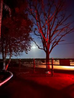 SítioBoaVistadoMonteAlto - 3