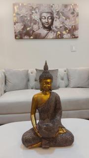 Luxury apartment - 9