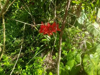 Dulmini Homestay - 9