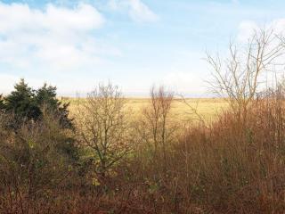 Luxury Fjordview Retreat-By Traum - 5