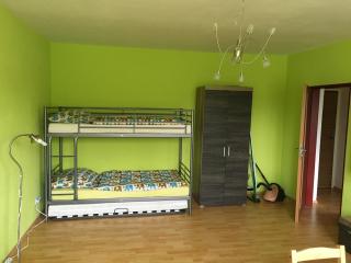 City Apartment Děčín - Děčín - 3