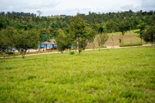 Samanea Wellness Resort - 4