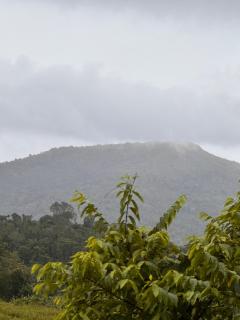 Malma view homestay - 2