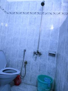 Perfect Lodge Guest House - 6