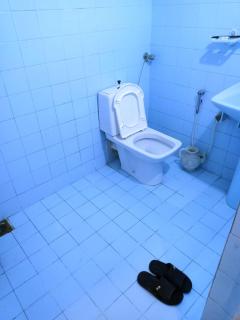 Perfect Lodge Guest House - 4