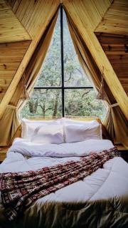 The Brookside Bungalow - 7