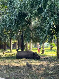 Pemsee's Tree Town - Eco Treehouse Hostel - 3