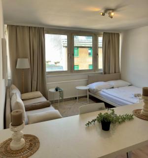 Brand new studio in Vienna - 5
