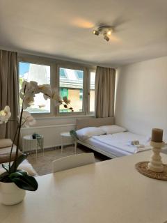 Brand new studio in Vienna - 6
