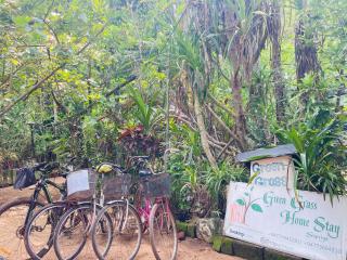 Green Grass Homestay - 4