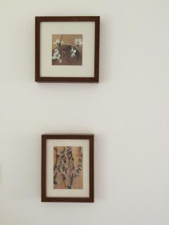 House with private garden, close to city centre - 5