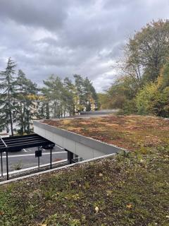 Cozy Apartment Beethoven mit Balkon - 6