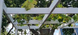 HOME AWAY HOME IN Howick East Auckland - 3