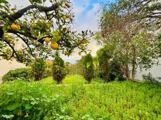 Villa Jenny Stylianou - Spetses - 2