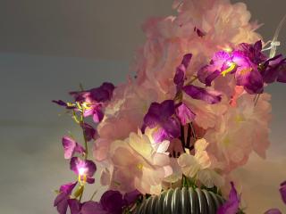 Swargaa Fireflies Duo - 0