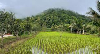 Nai Khun Khao Resort - 2