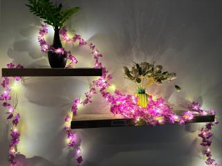 SB Legacy Fireflies Swarm - 9