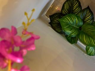 SB Legacy Fireflies Swarm - 8