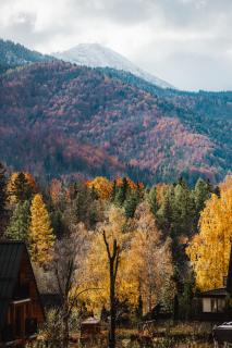 ZAKOZNAMI-WILLA WYPOCYNEK SPA - Zakopane - 6