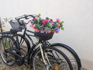 Maison de marinier les pieds dans l'eau face à la Loire - 4