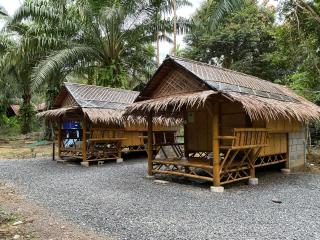 Khaosok August Freedom Camp - 5