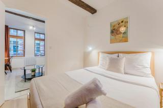 Apartment in a typical Lille street - 2