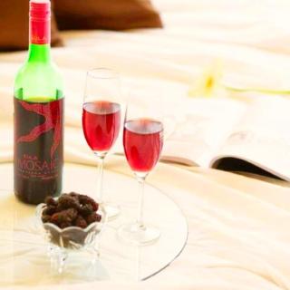 Luxurious Shivanya Palace 7BHK - 4