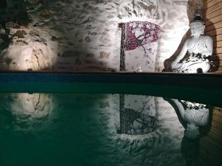 GITE "POM DE PIN" avec accès à la balnéo et piscine couverte - Libre du samedi au samedi - 7