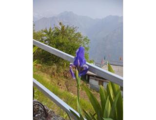 Nk brothers,Joshimath - 6