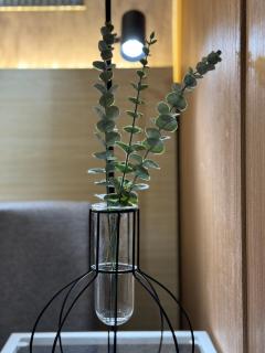 White aesthetic - Lush in Makati LUSH B01-1912 - 3