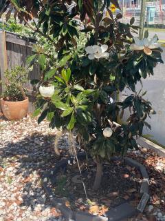 Salisbury Suburban Escape - 3